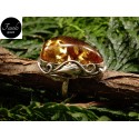 Anello Ambra